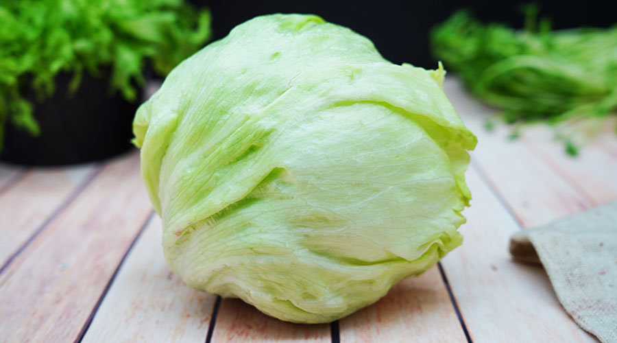 卷心菜